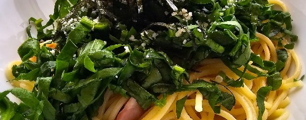 イタリアントマトカフェジュニア 小田急マルシェ伊勢原店