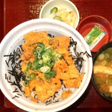 kumako20130418さんの写真