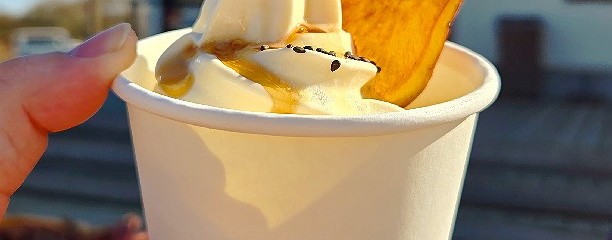 蔵出し焼き芋かいつか かすみがうら本店