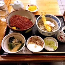 gaishokulabさんの写真
