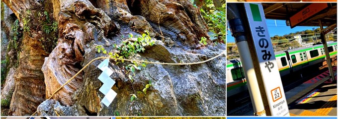来宮神社 直営お休み処
