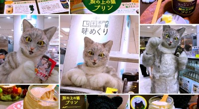 プリン専門店 坂の上の猫 本店 道後温泉駅 洋菓子