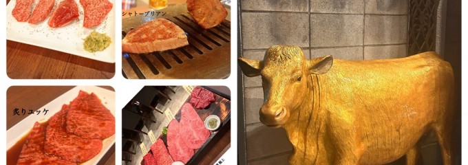 川越焼肉 シンラガーデン 八幡通り店