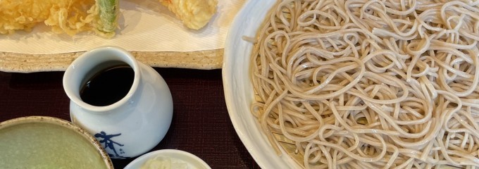 更科 斎とう