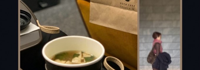 特急スペーシアX