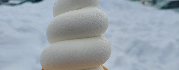 ひるがの高原サービスエリア下り