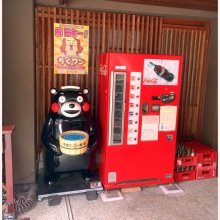 TANUKI_SHIGARAKIさんの写真