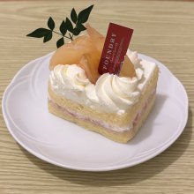 satomi_ntさんの写真