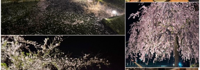 津軽の酒処 わたみ