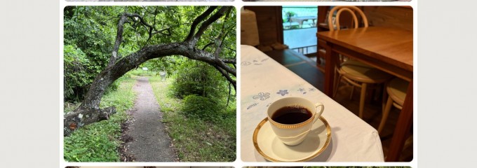 mitosaya薬草園蒸留所