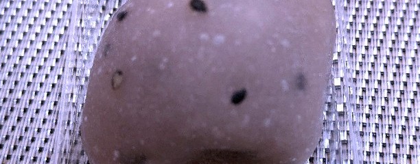 和菓子まめいち