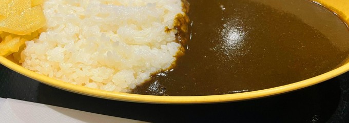 博多カレー研究所 博多とんこつあごだしカレー