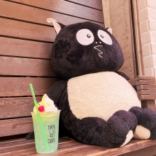 muku0326さんの写真