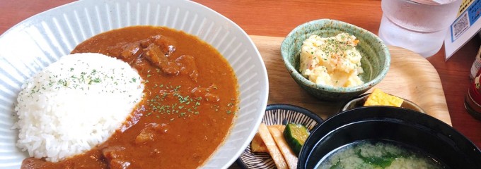 食堂 アポロ