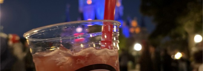 東京ディズニーランド