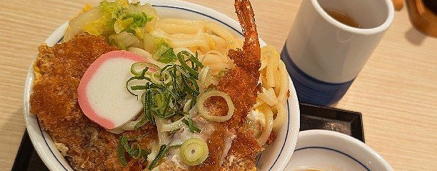 かつや 神奈川座間店