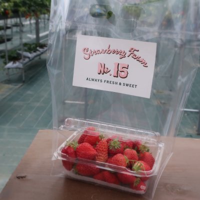 いちご狩り いちご園 Strawberry Farm No 15 The Farm Universal 彩都西駅 果物