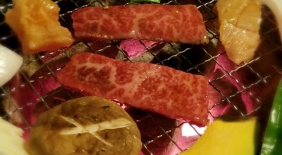 炭火焼肉 松の実 東光店 道北 旭川 富良野 旭川四条 焼肉 ホルモン