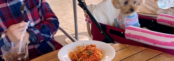 ITALIAN TOMATO CAFE Jr. アメリア町田根岸店