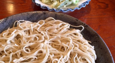 そば 椿庵 沼田 渋川 八木原 そば