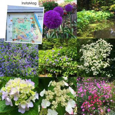 京都府立植物園 カフェ