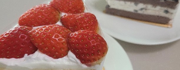 184양과점