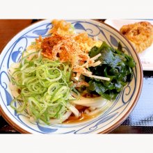 d9_9bさんの写真