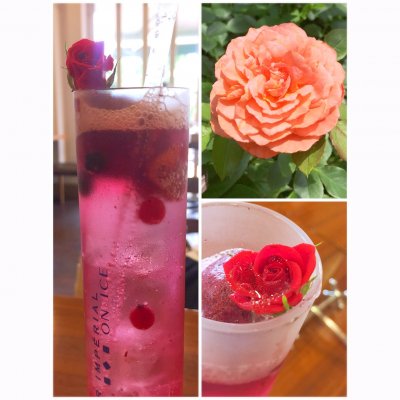 Season S Cafe 横浜イングリッシュガーデン カフェ