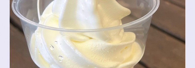 アイス屋ティコ