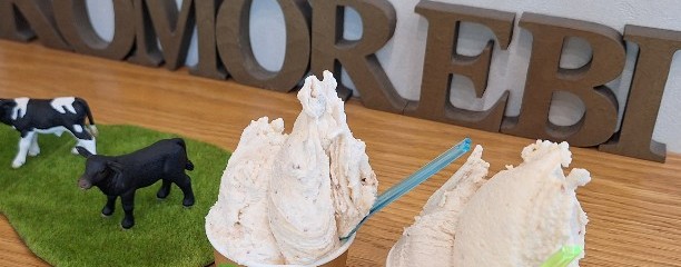 KOMOREBI gelato