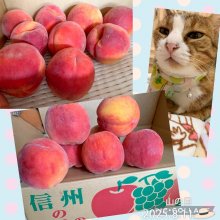 bekochiさんの写真