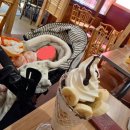 ラキュイジーヌフランセーズ カミカワ 桃山台駅 フランス料理 ラキュイジーヌフランセーズ カミカワ 桃山台駅 フランス料理
