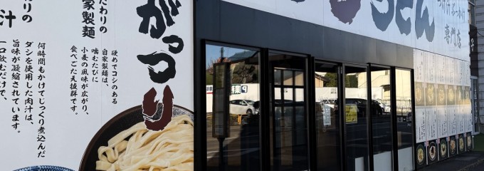 がっつりうどん