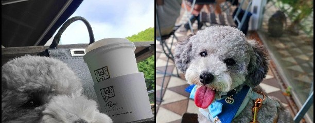 ル・パン・コティディアン 芝公園店