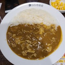 akitsuno_kiteraさんの写真