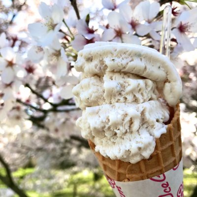 京都府立植物園 アイスクリーム