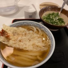 kinokodaimaouさんの写真