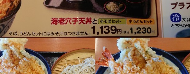 天丼てんや 三郷幸房店