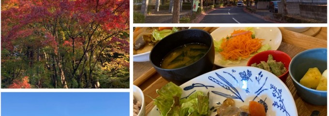 マルトクカフェ