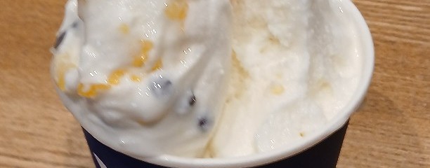 Yokosuka Gelato Factory