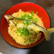 Takashi_Sawadaさんの写真