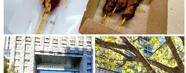 芝浦工業大学 豊洲キャンパス