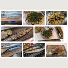 kinokodaimaouさんの写真