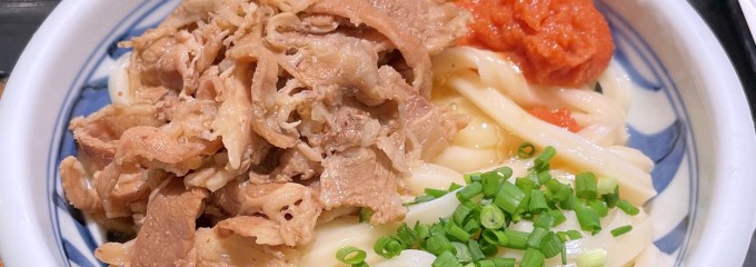 本場手打讃岐うどん　谷や