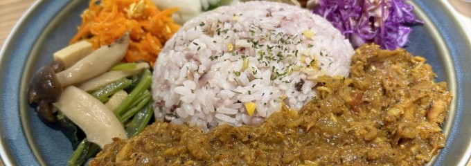 健康-野菜研究所 めばえキッチン 中加賀屋店