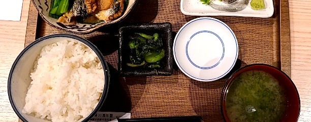 魚金
