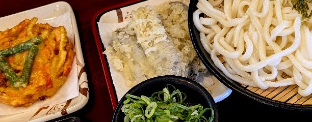 春の家
