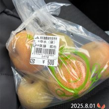 garimakoさんの写真