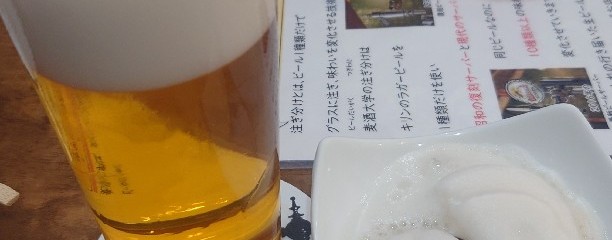 麦酒大学