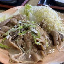 youki4663さんの写真
